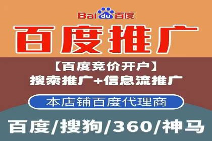 SEM公司案例分析：搜索引擎优化策略与执行